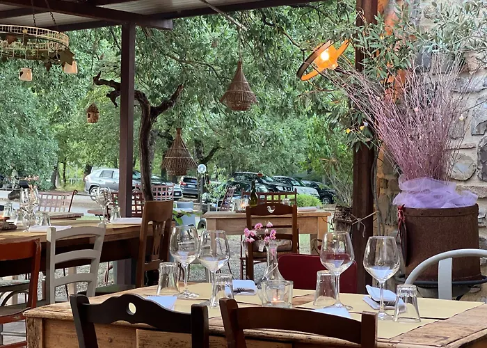 Hotel adatto agli animali: Il Felcino