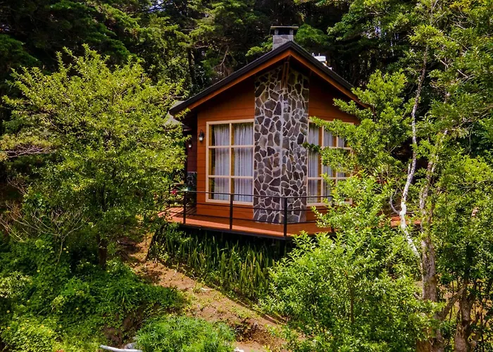 Chalet: Los Pinos Cabins&Reserve