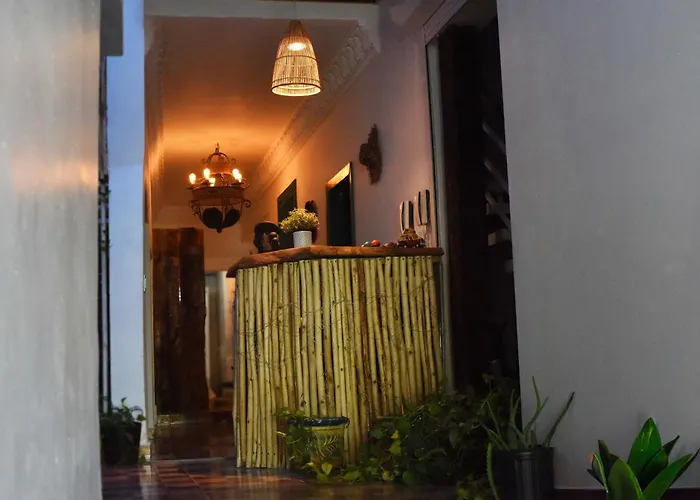 Hostel Gato Colonial