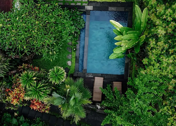 Sari Bamboo Villas