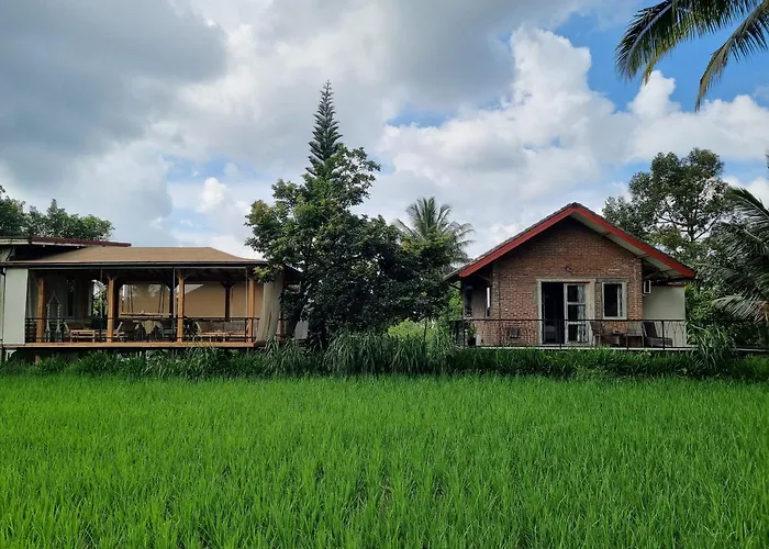  Les Rizieres Lombok