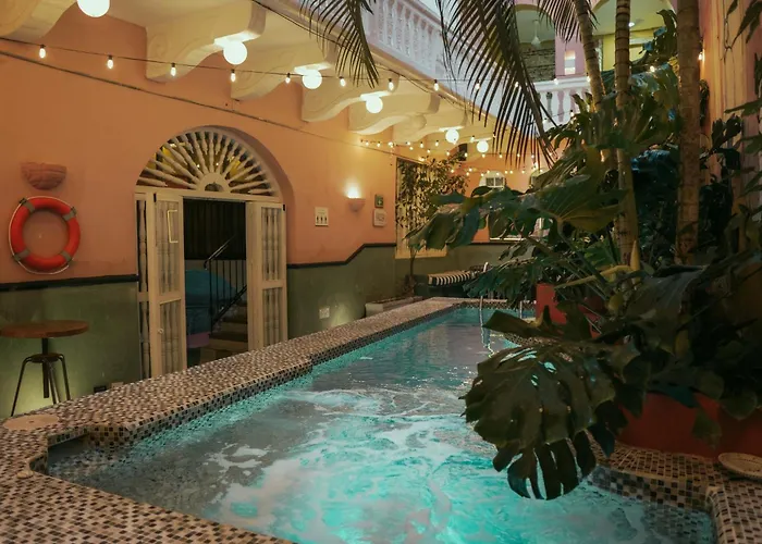 Pet Friendly hotel: Casa Movida Hostel