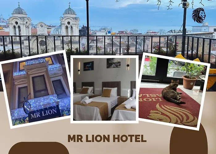 Mr Lion Kumkapi Otel