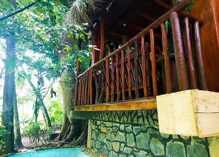Jungle Face Inn