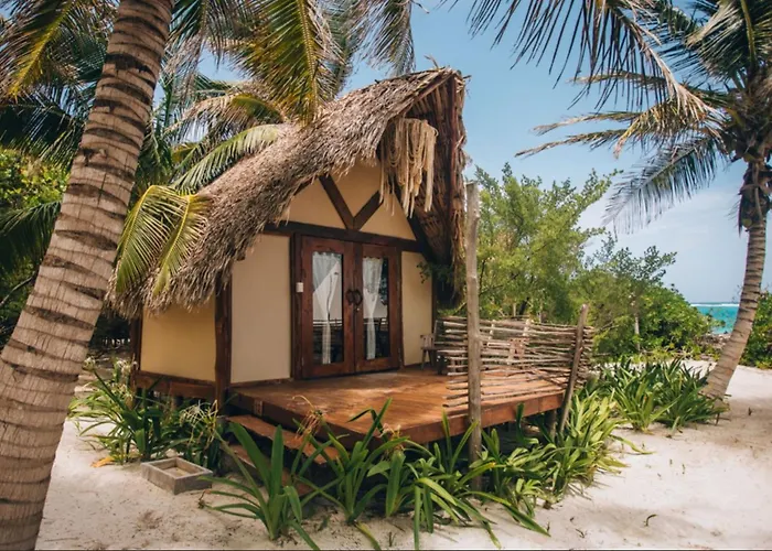 Trip to College Glamp Ikal Tulum