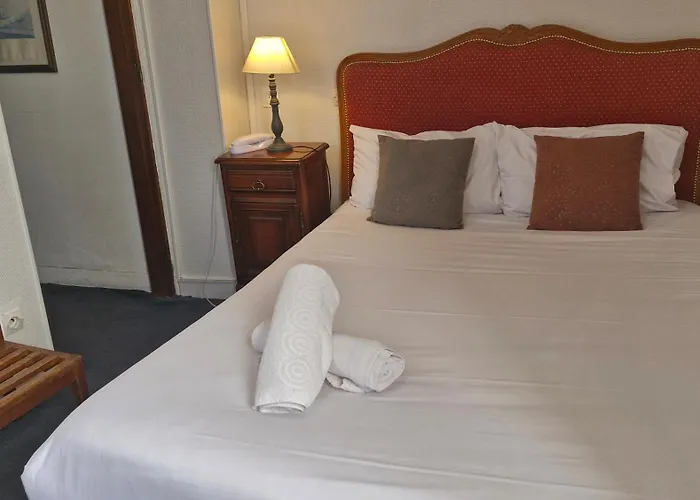 Hôtel accueillant les animaux: Hotel Saint Etienne