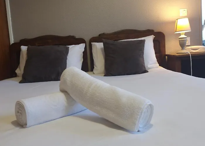 Hôtel accueillant les animaux: Hotel Saint Etienne