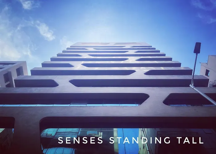 Senses