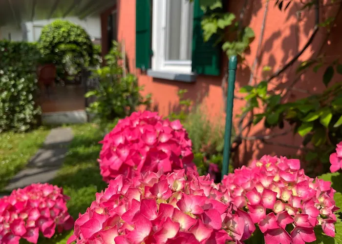 Hotel mit Hund Garni Dei Fiori