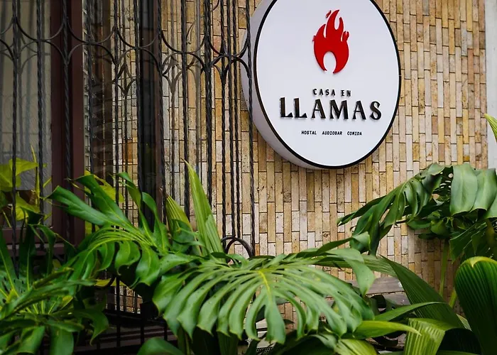 Perros hoteles Casa En Llamas Hostal&Audio Bar - Armenia Eje Cafetero