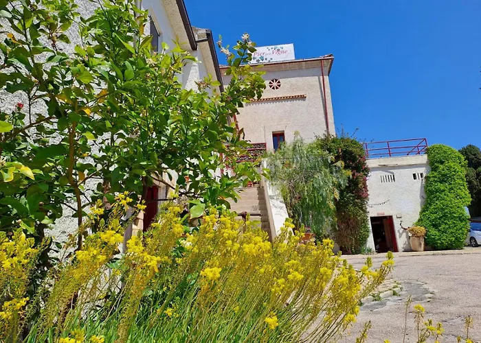 Pier Delle Vigne