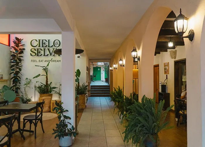 Cielo Y Selva, San Cristobal De Las Casas