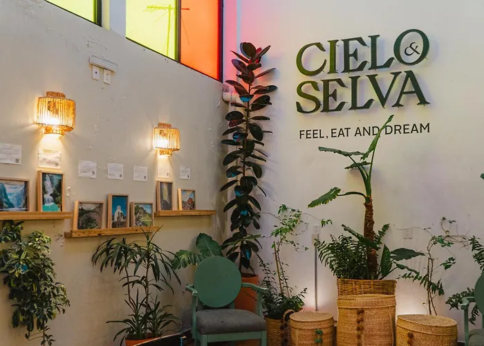 Cielo Y Selva, San Cristobal De Las Casas