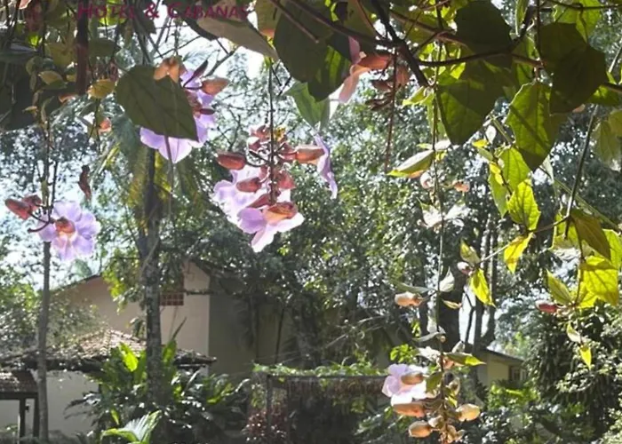  Orquideas & Cabanas