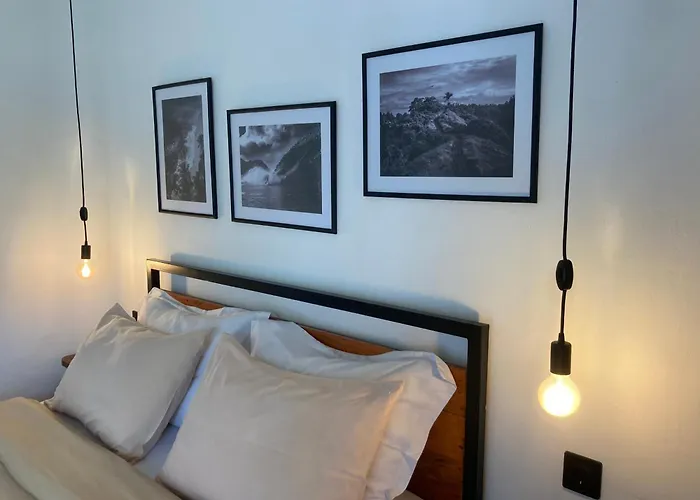 Huisdiervriendelijk hotel: Rebels Point