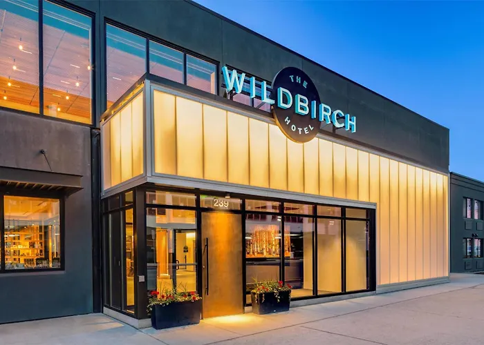 Airport Hotel: The Wildbirch Hotel - Jdv By Hyatt