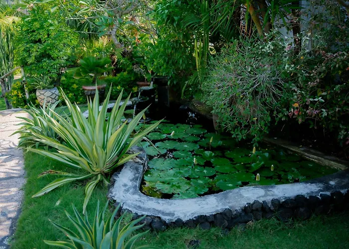 The Bbq Guest House