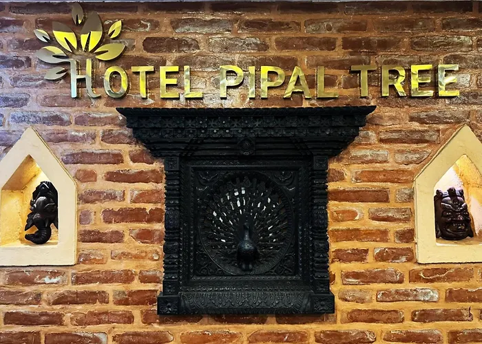 Hotel Pipal Tree