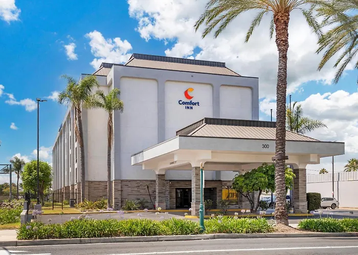 Comfort Resort