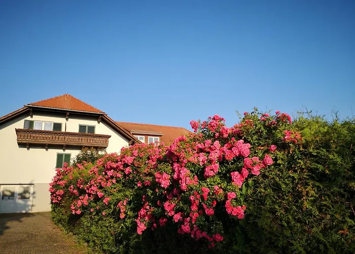 Goldener Hahn Apartments