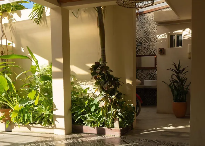 Hotel Siesta Holbox