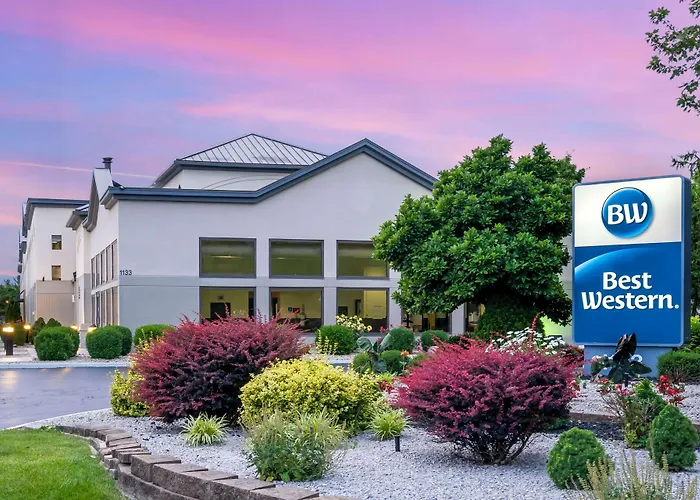 Best Western Suites