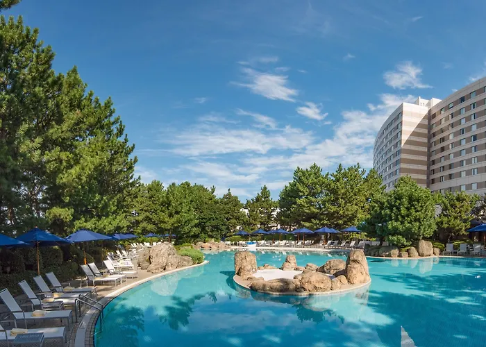 Luxury hotel only: Hilton Tokyo Bay