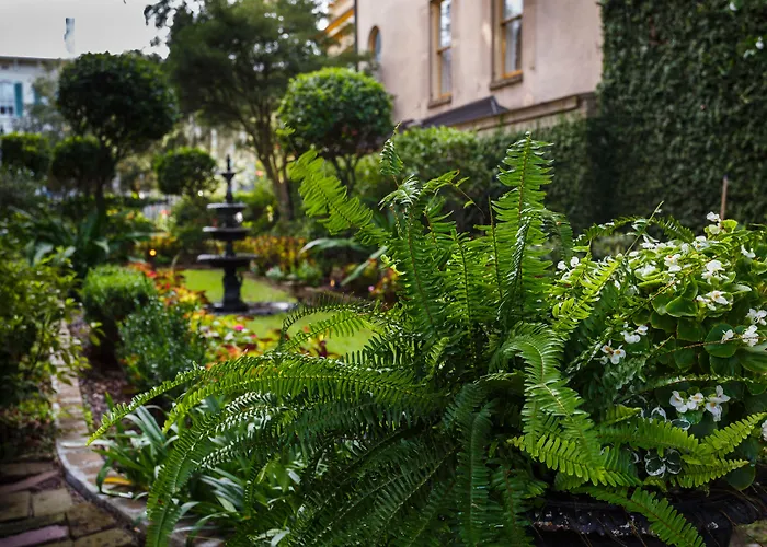 The Gastonian, Historic Inns Of Savannah Collection (Adults Only)