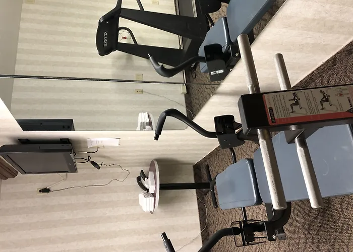 Hotel with view: Ramada By Wyndham Saginaw Hotel & Suites