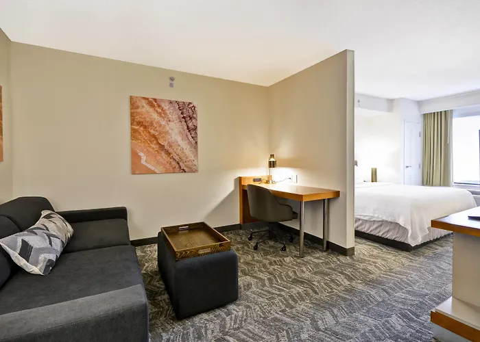 Springhill Suites By Marriott Lexington Near The University Of Kentucky