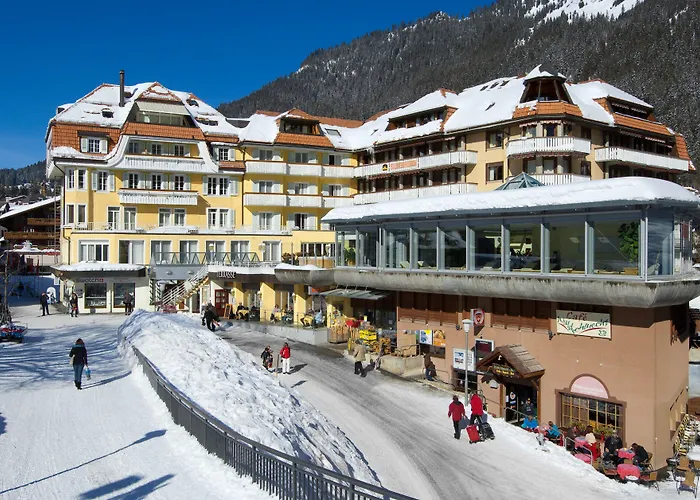 Huisdiervriendelijk hotel: Hotel Silberhorn - Residences & Spa Wengen