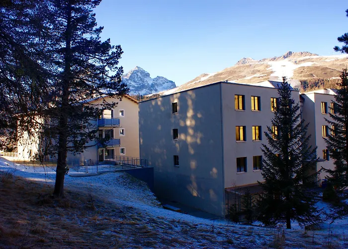 Huisdiervriendelijk hotel: Hotel Stille