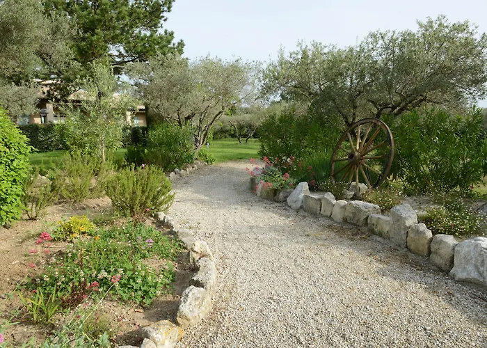 Hôtel accueillant les animaux: Hôtel Villa Glanum et Spa