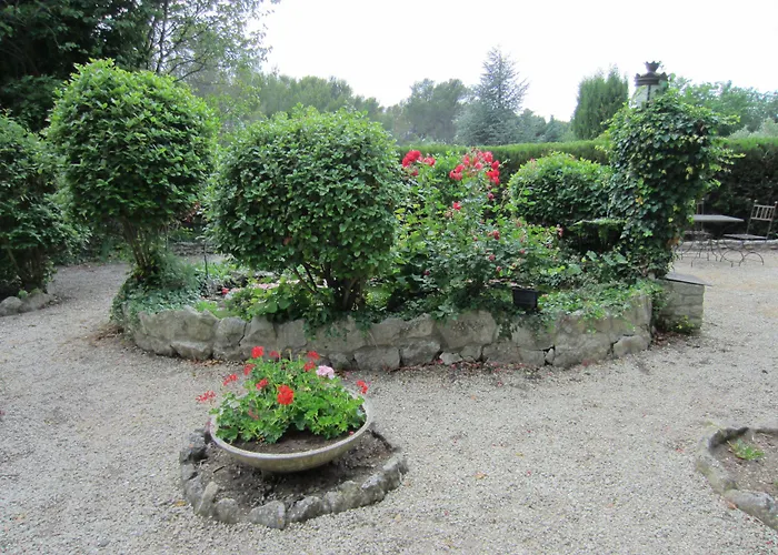 Hôtel accueillant les animaux: Hôtel Villa Glanum et Spa