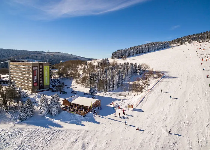 Ahorn Am Fichtelberg