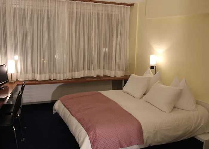 Hotel Dufour
