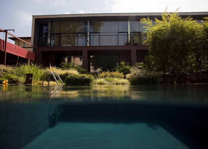  Clocchiatti Next