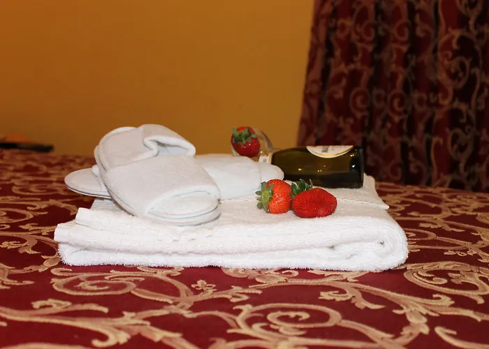 Huisdiervriendelijk hotel: Hotel Centrale