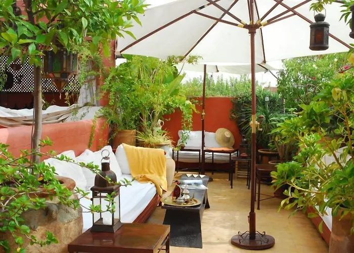 La Terrasse Des Oliviers