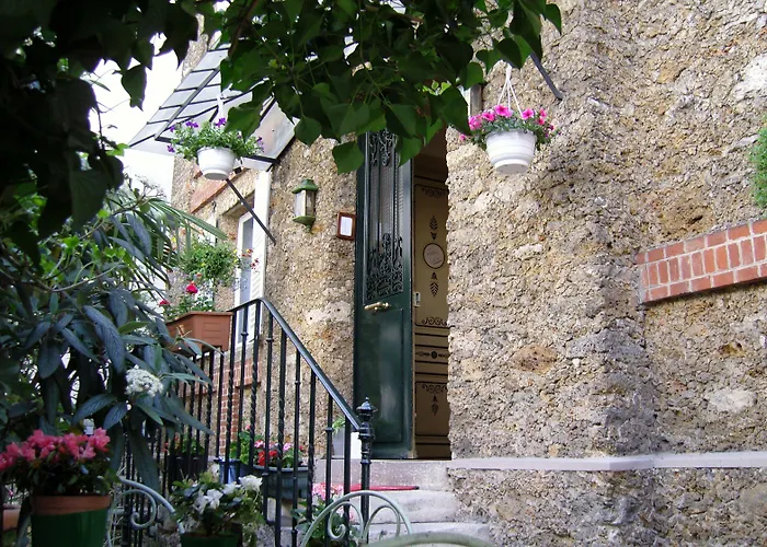 Hotel Am Windsor Home