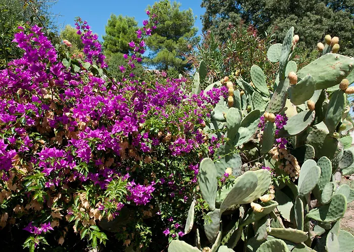 Familienhotel: Ostuni A Mare