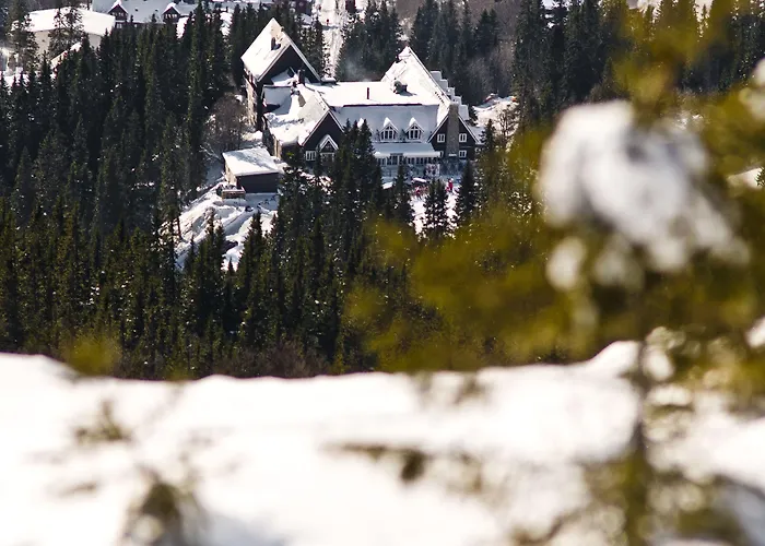 l Fjaellgarden Ski-In Ski-Out