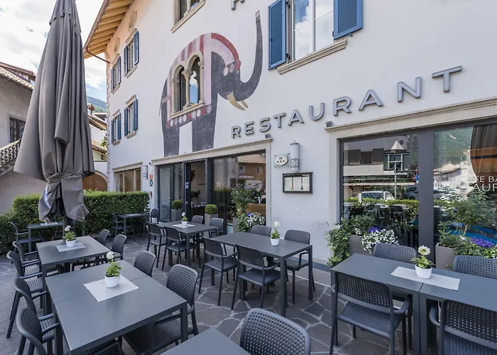 Resort: Hotel Elefant
