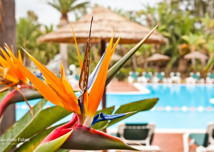Hotel: Baia Delle Palme Beach