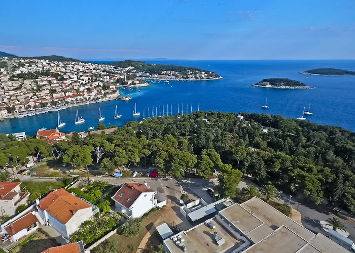  Violeta Hvar