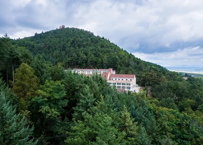 Hotel mit Hund Spa Husseren Collections - Proche Colmar - Eguisheim