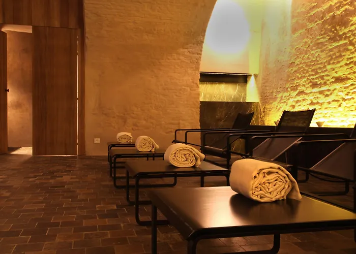 Hôtel accueillant les animaux: Hotel Julien