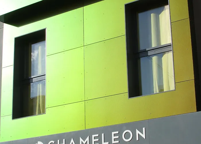  Chameleon Youth Alicante
