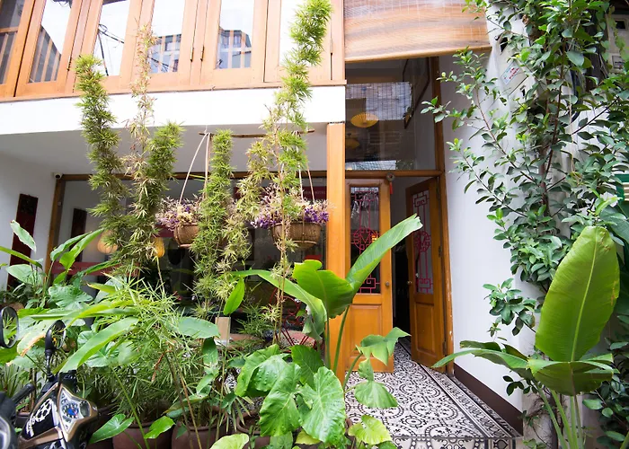 Maison D'Orient