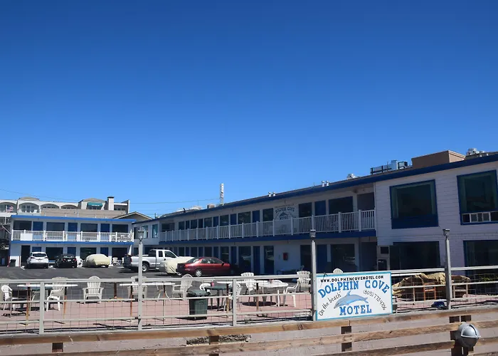 All Motels Dolphin Cove